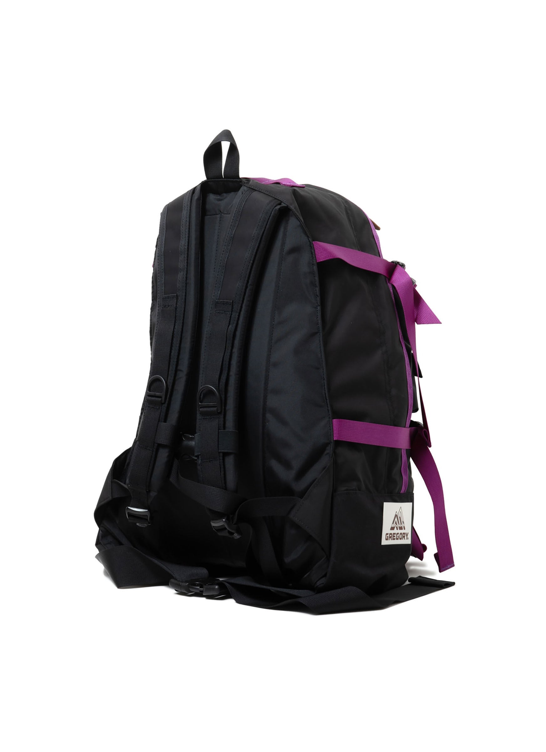 CLASSIC DAY 【GREGORY &times; NEXUSVII.】DAY & A HALF PACK F24