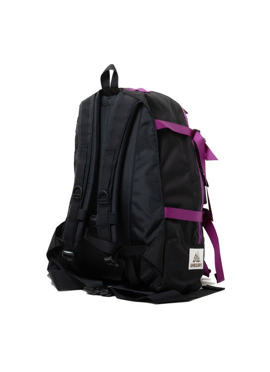 CLASSIC DAY 【GREGORY &times; NEXUSVII.】DAY & A HALF PACK F24
