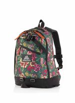 CLASSIC DAY ファインデイ V2