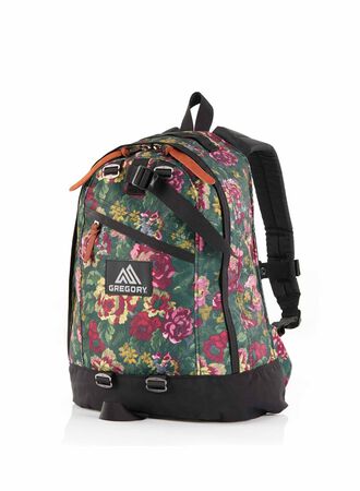 CLASSIC DAY ファインデイ V2