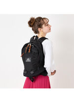 CLASSIC DAY ファインデイ V2