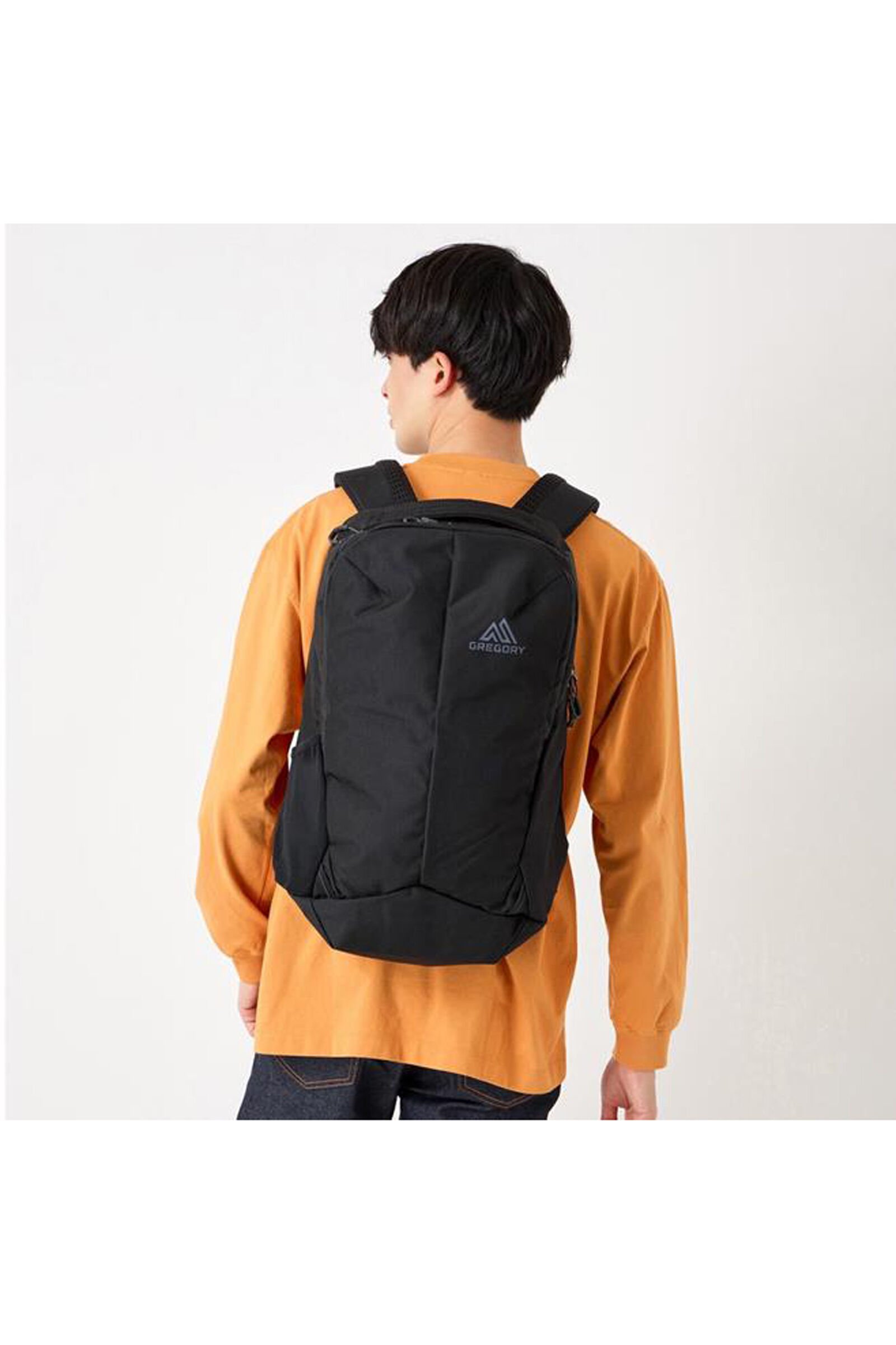GREGORY デイバック リュック RHUNE 22 / ルーヌ22 カーボン