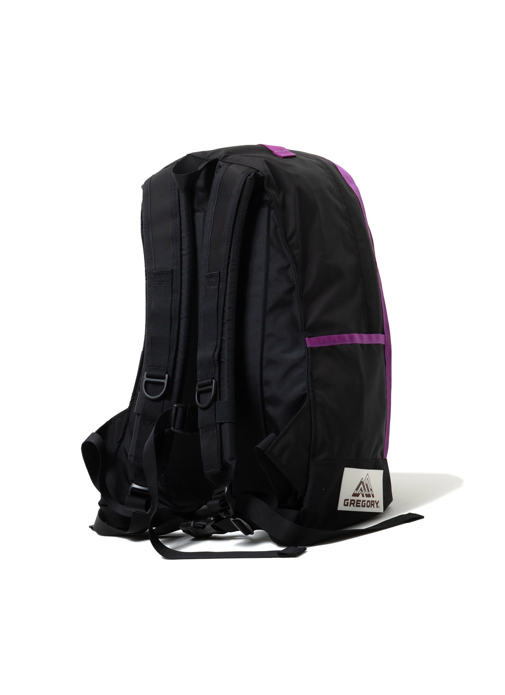 CLASSIC DAY 【GREGORY &times; NEXUSVII.】DAY & A HALF PACK F24