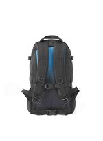 CLASSIC DAY オールデイ PFM