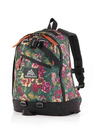 CLASSIC DAY ファインデイ V2