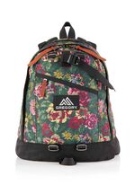 CLASSIC DAY ファインデイ V2