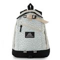 CLASSIC DAY ファインデイ V2