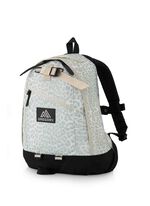 CLASSIC DAY ファインデイ V2