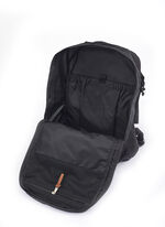 CLASSIC DAY エクスカーションデイ