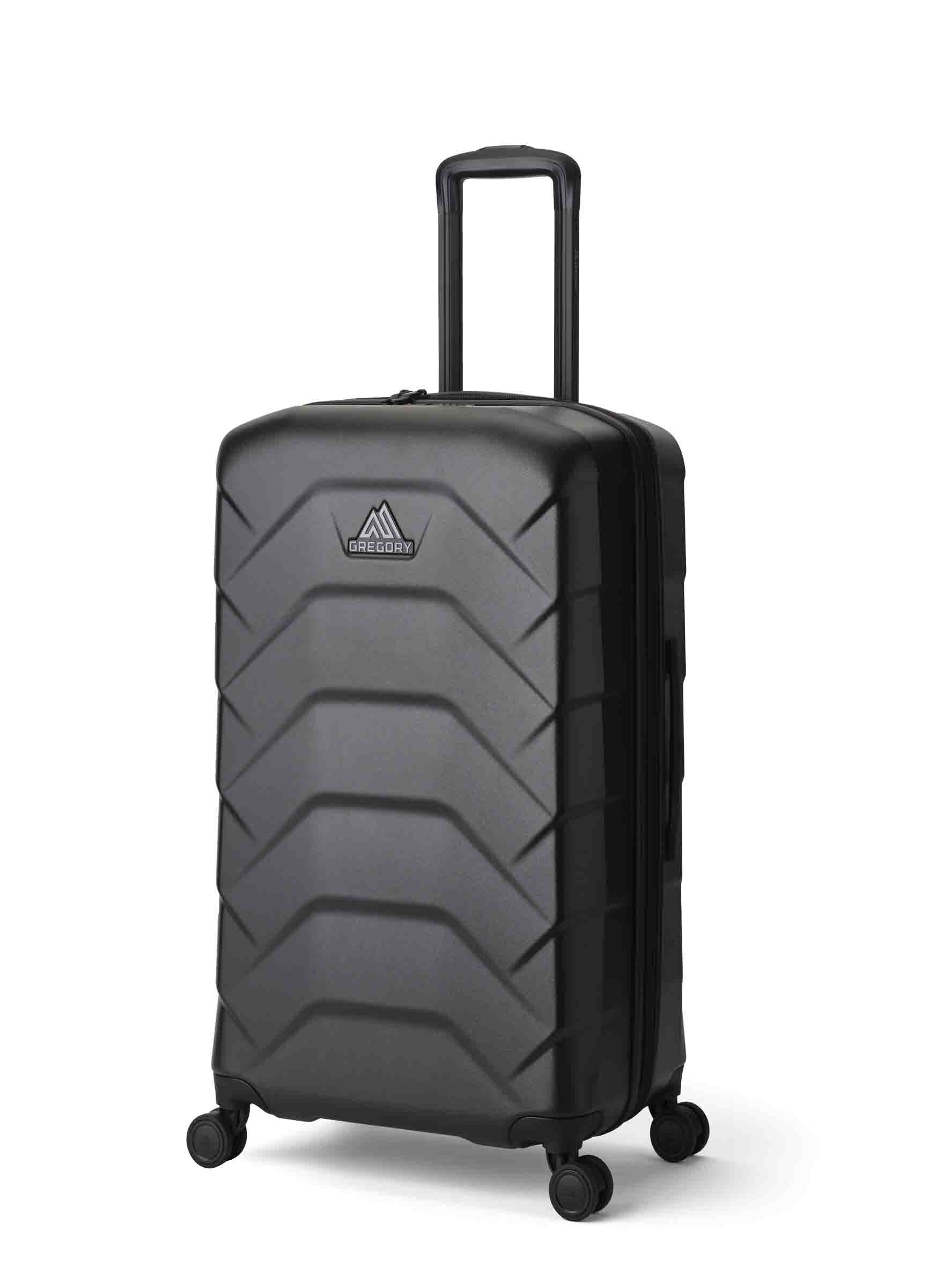 キャッシュ28 ラージスピナー ブラックライケン | グレゴリー