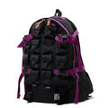 CLASSIC DAY 【GREGORY &times; NEXUSVII.】DAY & A HALF PACK F24