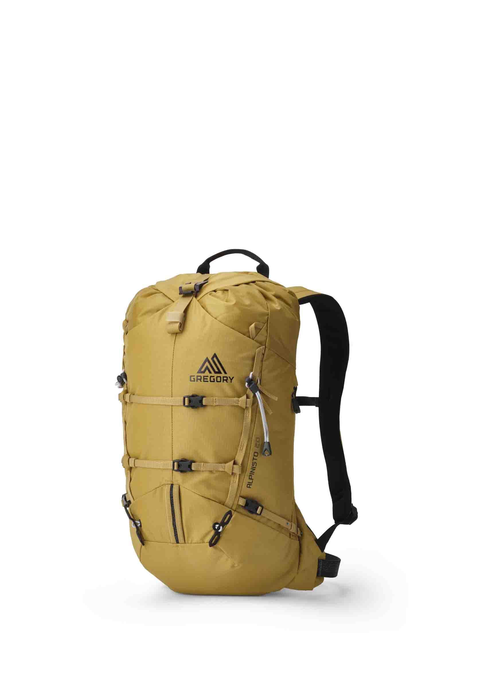 アルパイン アルピニスト20