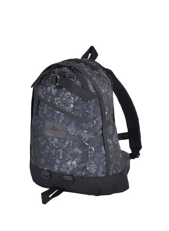 CLASSIC DAY ファインデイ V2