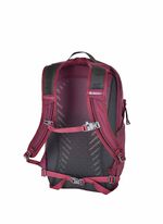 MOMENTUM DAYPACKS スウィフト16