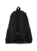 クラシックデイ デイパック DSP