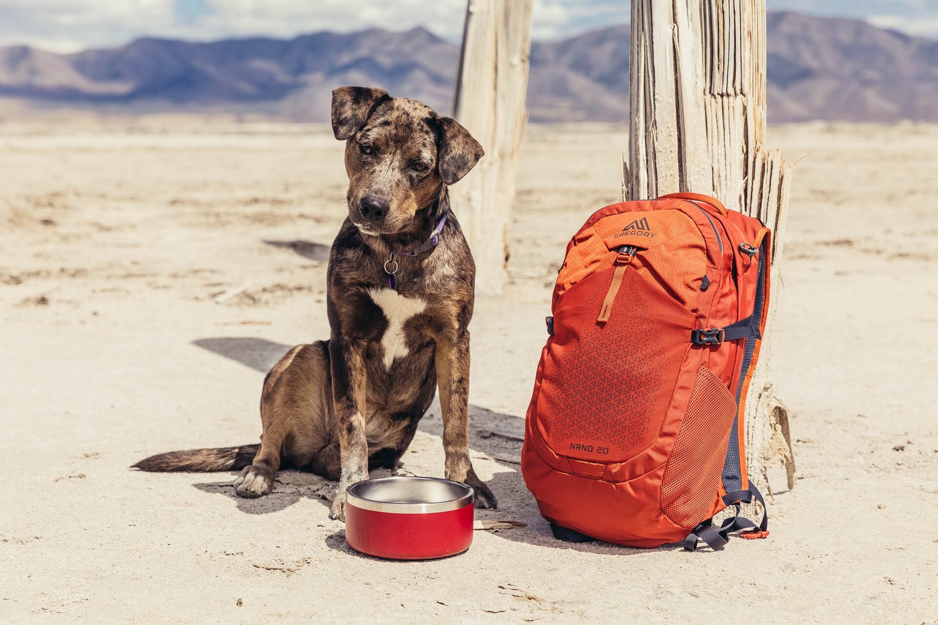 ESSENTIAL HIKING ナノウェストパック